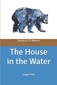 The House in the Water