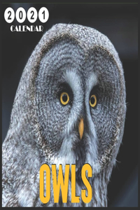 owls 2021 Calendar