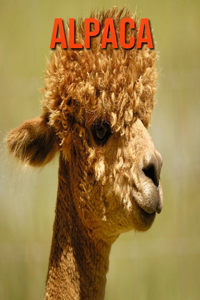 Alpaca