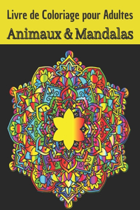 Livre de Coloriage pour Adultes