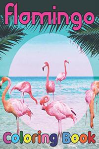 Flamingo coloring book