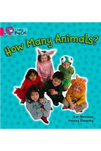 How Many Animals? Workbook