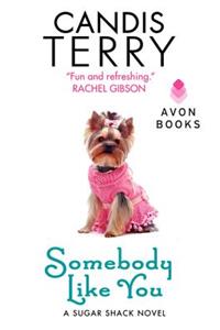 Somebody Like You (A Sugar Shack Novel)