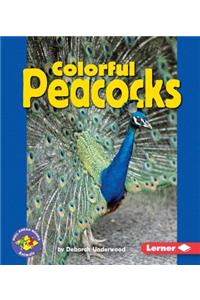 Colorful Peacocks