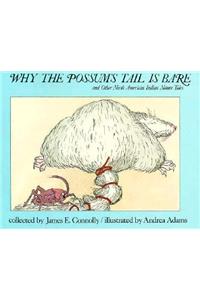 Why the Possum's Tail is Bare