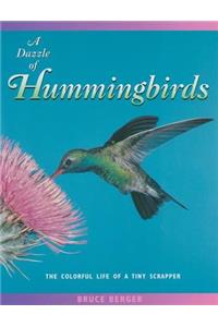 Dazzle of Hummingbirds