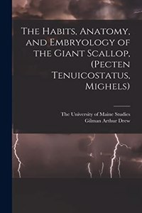 Habits, Anatomy, and Embryology of the Giant Scallop, (Pecten Tenuicostatus, Mighels)