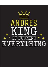 ANDRES - King Of Fucking Everything