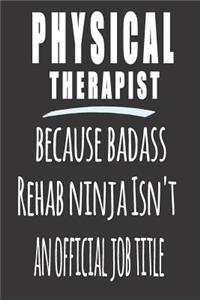 Physical Therapist, Because Badass Rehab Ninja Isn'T An Official Job Title
