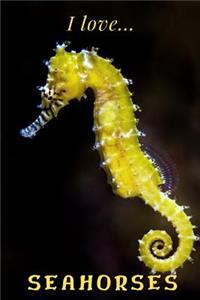 I Love Seahorses