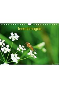 Insectimages 2018