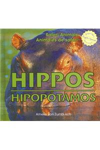 Hippos / Hipopótamos