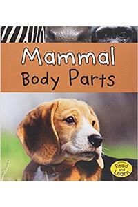 Mammal Body Parts
