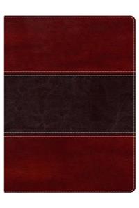 Holman Study Bible-NKJV