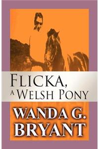 Flicka, a Welsh Pony