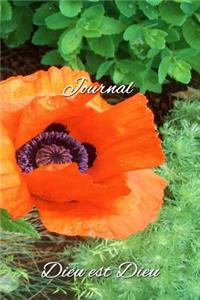 Journal, Dieu est Dieu