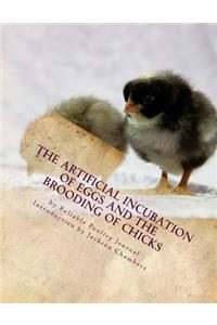 Artificial Incubation of Eggs and the Brooding of Chicks