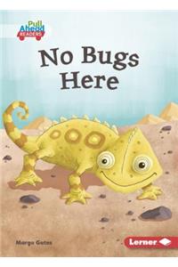 No Bugs Here