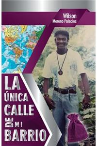 Unica Calle de Mi Barrio