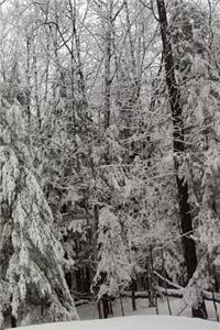 Winter Season Beautiful Journal