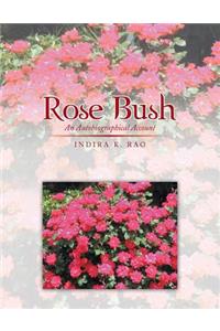 Rose Bush