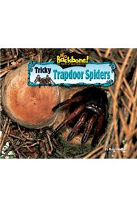 Tricky Trapdoor Spiders