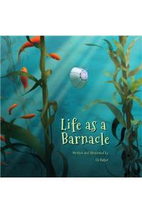 Life as a Barnacle