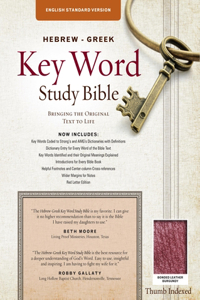 Hebrew-Greek Key Word Study Bible