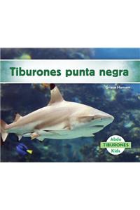 Tiburones Punta Negra (Blacktip Reef Sharks)