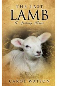 Last Lamb