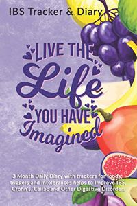 Live The Life You Have Imagined
