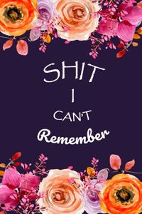 Shit I Can't Remember