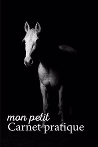 Mon petit Carnet pratique