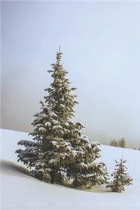 Pine Trees on a Winter Morning Journal