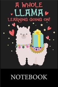 A Whole Llama Learning Going On! Notebook