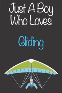 Just A Boy Who Loves Gliding