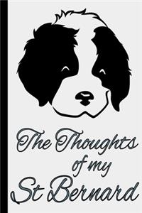 The Thoughts Of My St Bernard