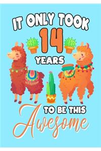 It only Took 14 Years To Be This Awesome