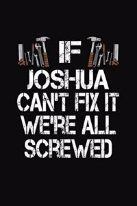 If Joshua Can't Fix We're All Screwed