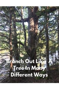Branch Out Like A Tree In Many Different Ways