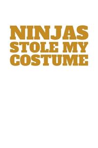 Ninjas Stole my Costume