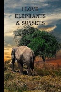 I Love Elephants & Sunsets