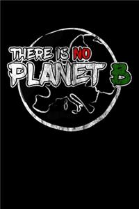 There is no Planet B