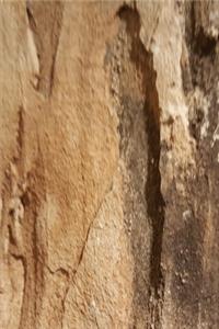2020 Weekly Planner Journal Natural Stone Surface 134 Pages