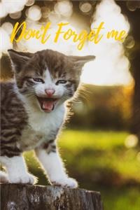 Don't Forget Me