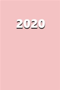 2020 Daily Planner 2020 Baby Pink Color 384 Pages