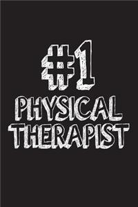 #1 Physical Therapist