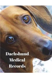 Dachshund Medical Records