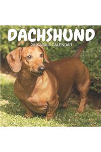 Dachshund 2019 Wall Calendar