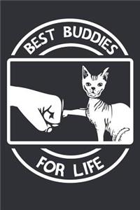 My Sphynx Cat and Me